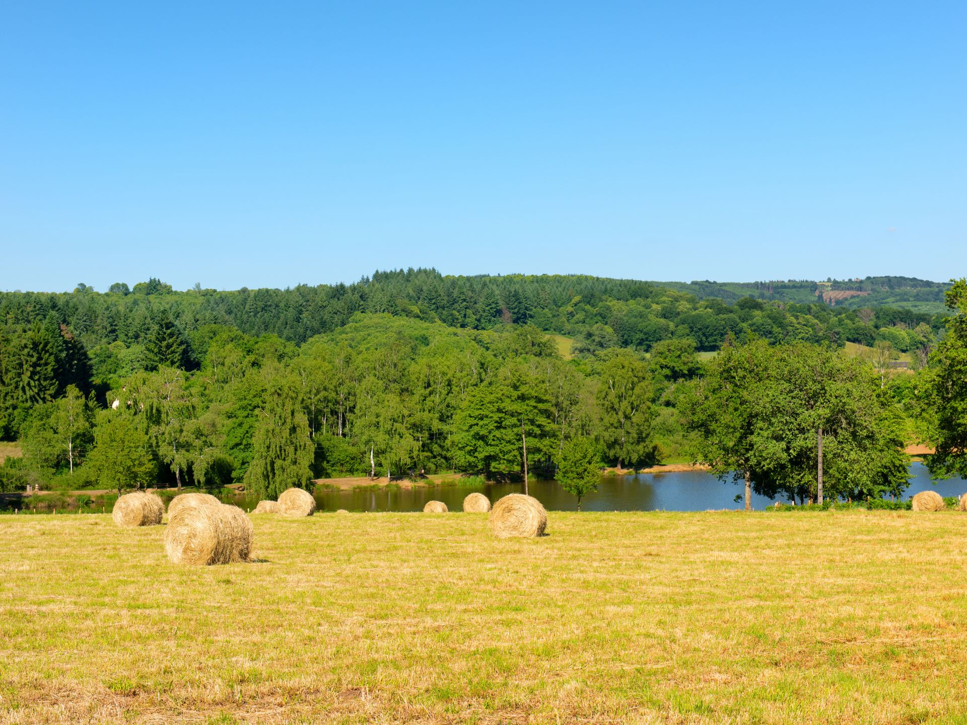 Le marché immobilier du sud de la Haute-Vienne, du pays de Saint-Yrieix aux monts de Châlus